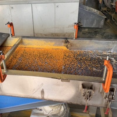 Macchina per la granulazione di schiuma XPE per la pelletizzazione a incrocio di polietilene XLPE EVA